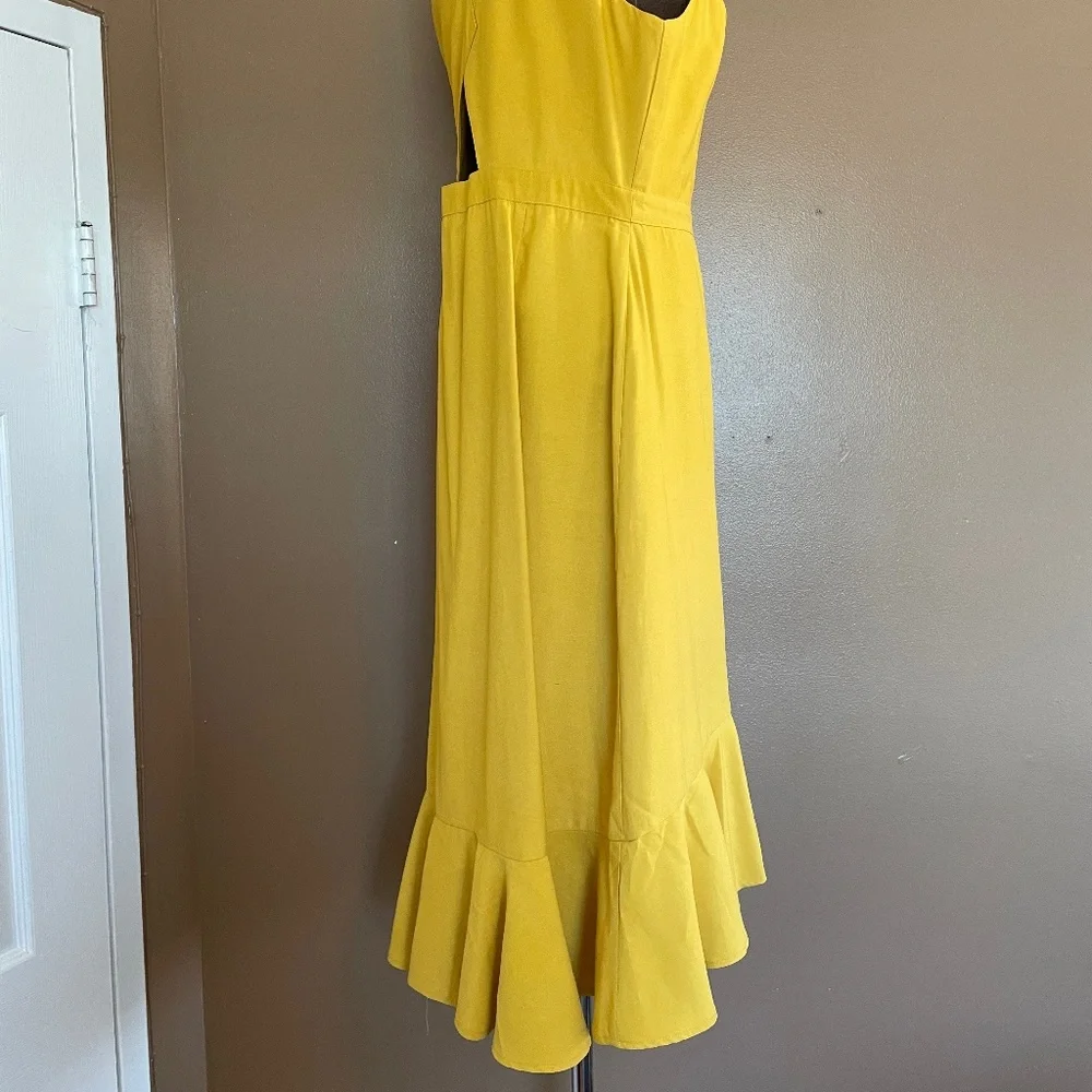 When We First Met Midi Dress - Picture 3 of 11